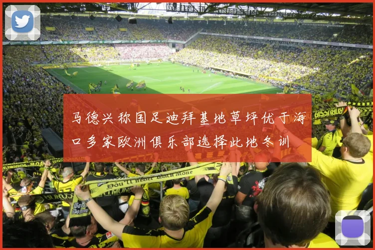 马德兴称国足迪拜基地草坪优于海口多家欧洲俱乐部选择此地冬训