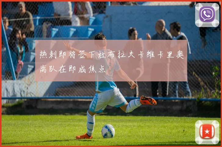 热刺即将签下杜布拉夫卡维卡里奥离队在即成焦点